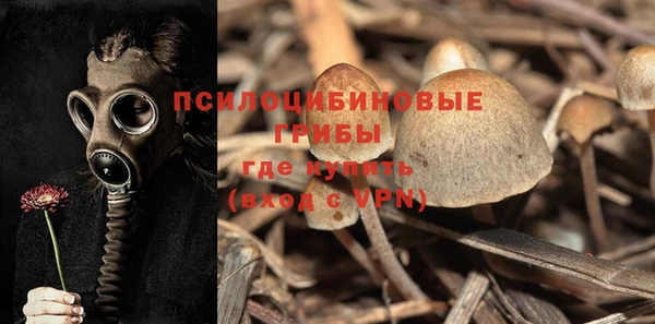 apvp Осинники