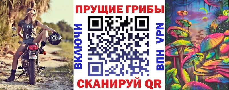 hydra сайт  Нальчик  Псилоцибиновые грибы Psilocybe 