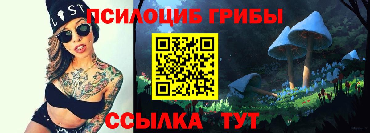 Галлюциногенные грибы ЛСД  Вход с VPN  Нальчик 